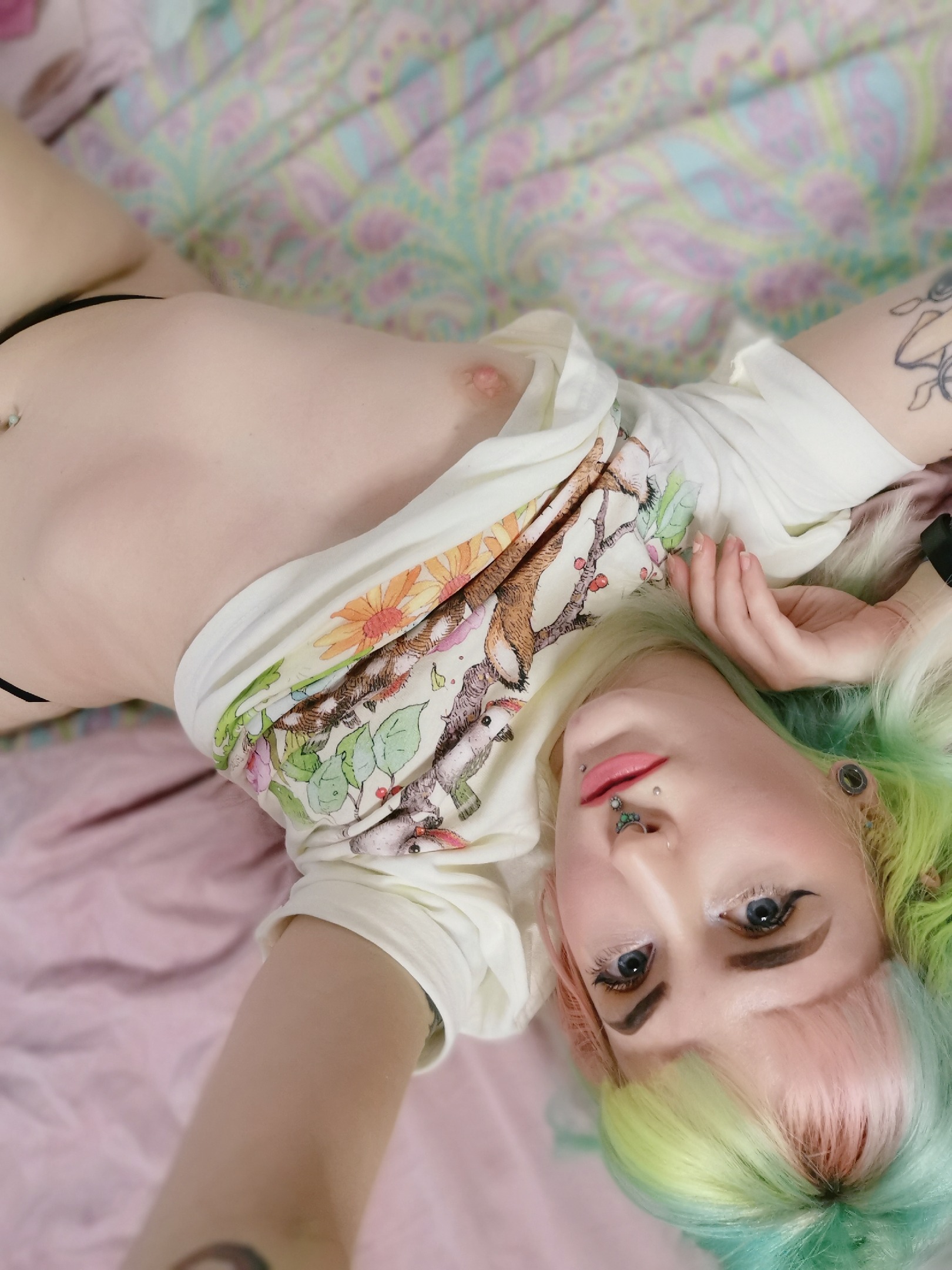 photoset image