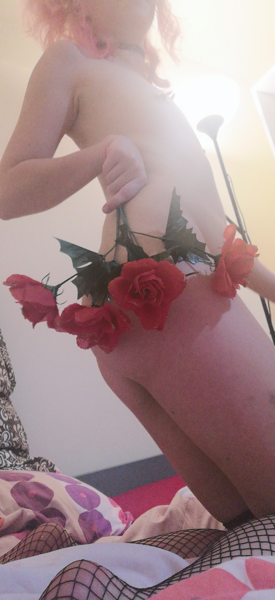 photoset image